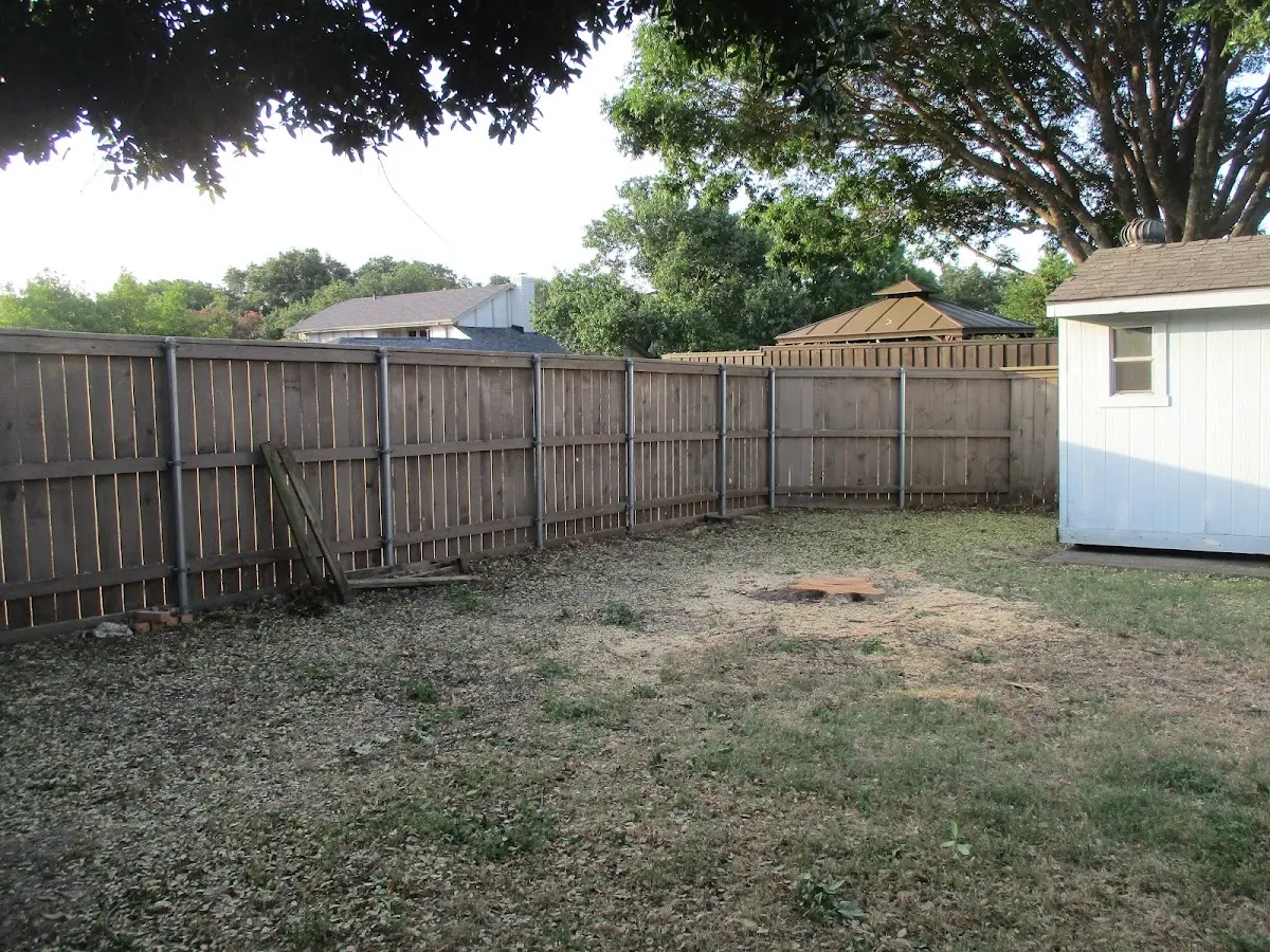 Cleared yard after professional tree removal in Gales Ferry